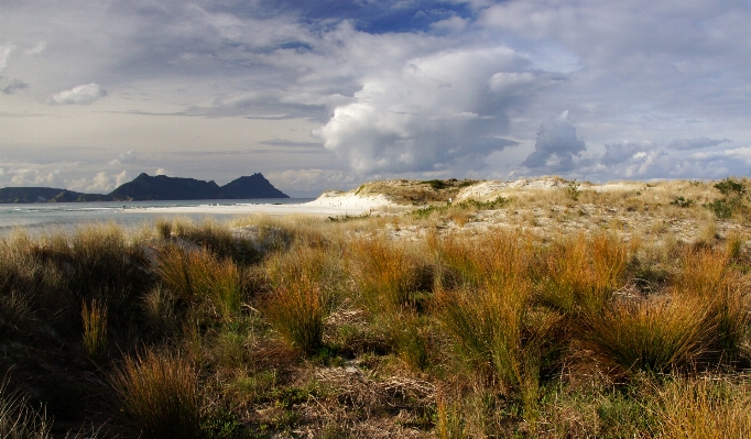 Landscape sea coast nature Photo