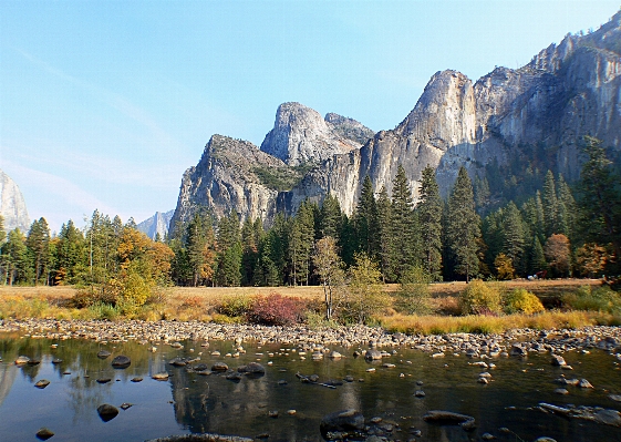 Landscape tree water nature Photo