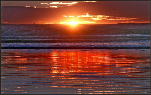 Beach sea coast ocean Photo