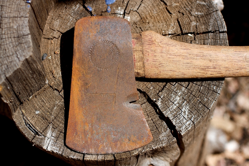 árbol madera trompa hacha