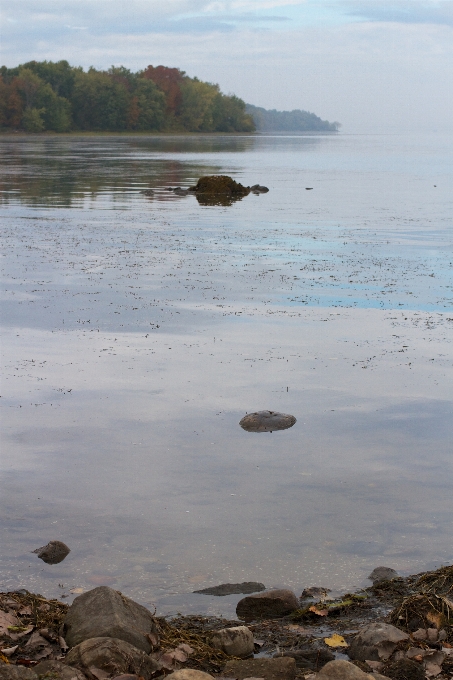 Pantai lanskap laut pesisir