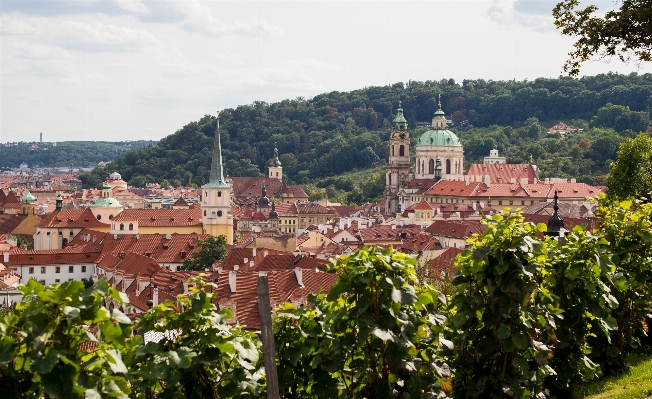 Architecture hill flower town Photo