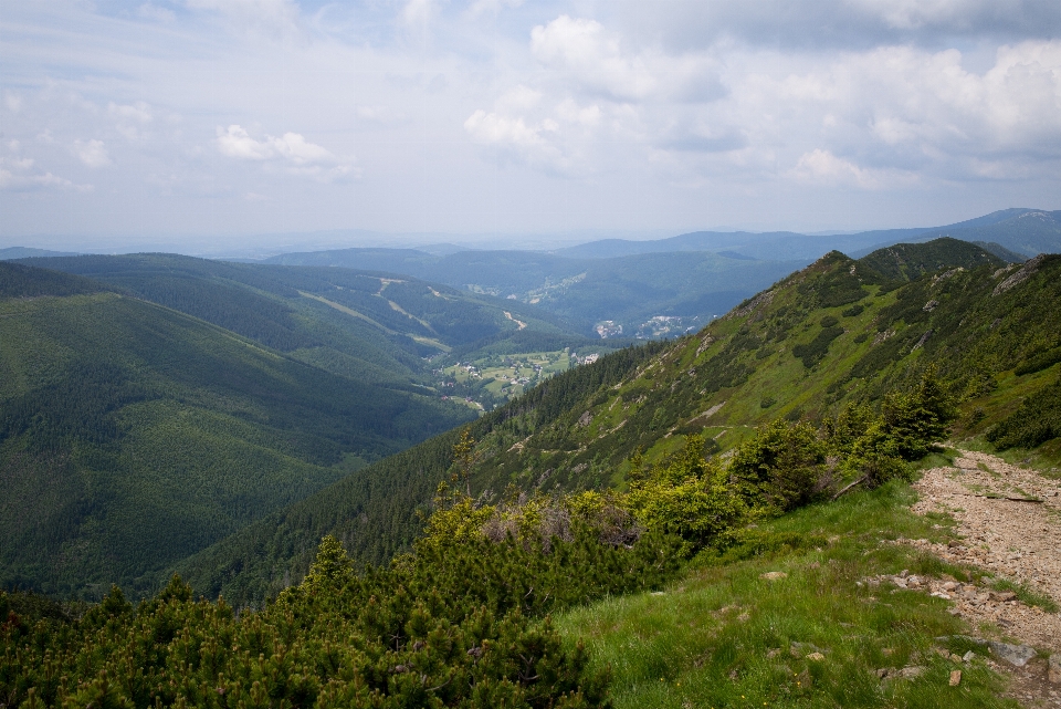 Krajobraz natura las ścieżka