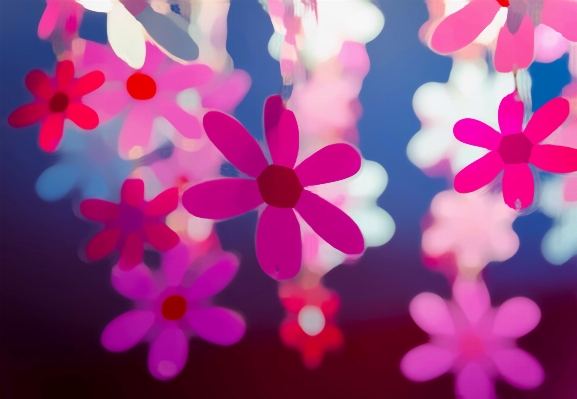 Blossom abstract plant leaf Photo