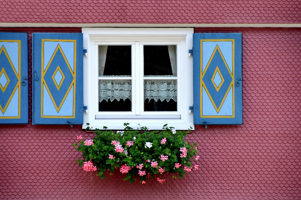 Architecture fleur fenêtre bâtiment