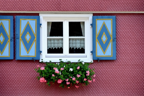 Architecture flower window building Photo