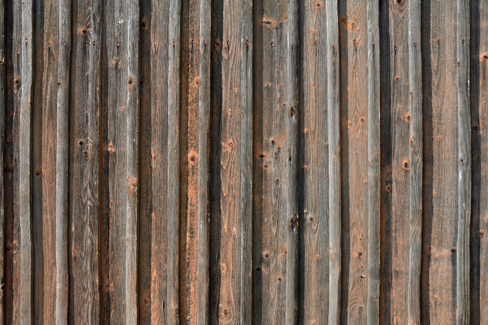 Nature fence structure wood