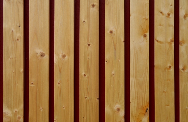 Nature fence structure wood Photo