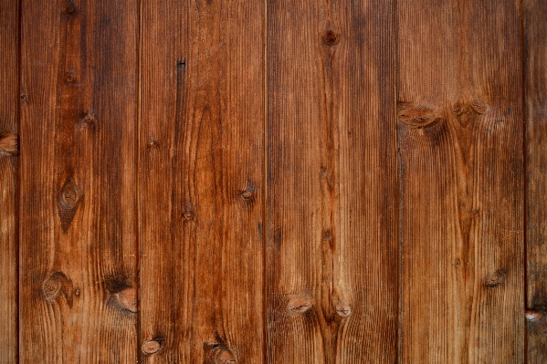 Nature structure wood grain Photo