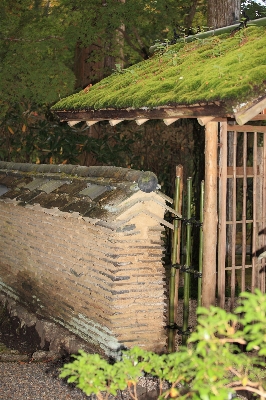 Fence wood wall shed Photo