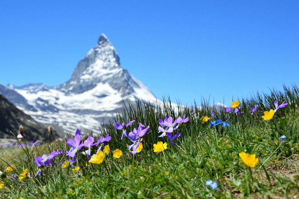 Natur berg anlage feld