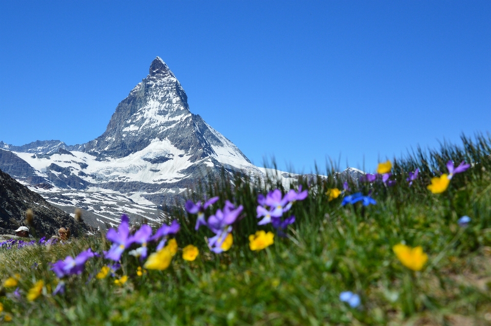 Natur wildnis
 berg anlage