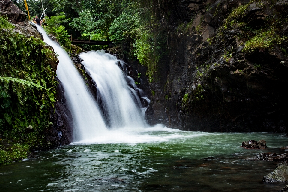 Air alam hutan terjun