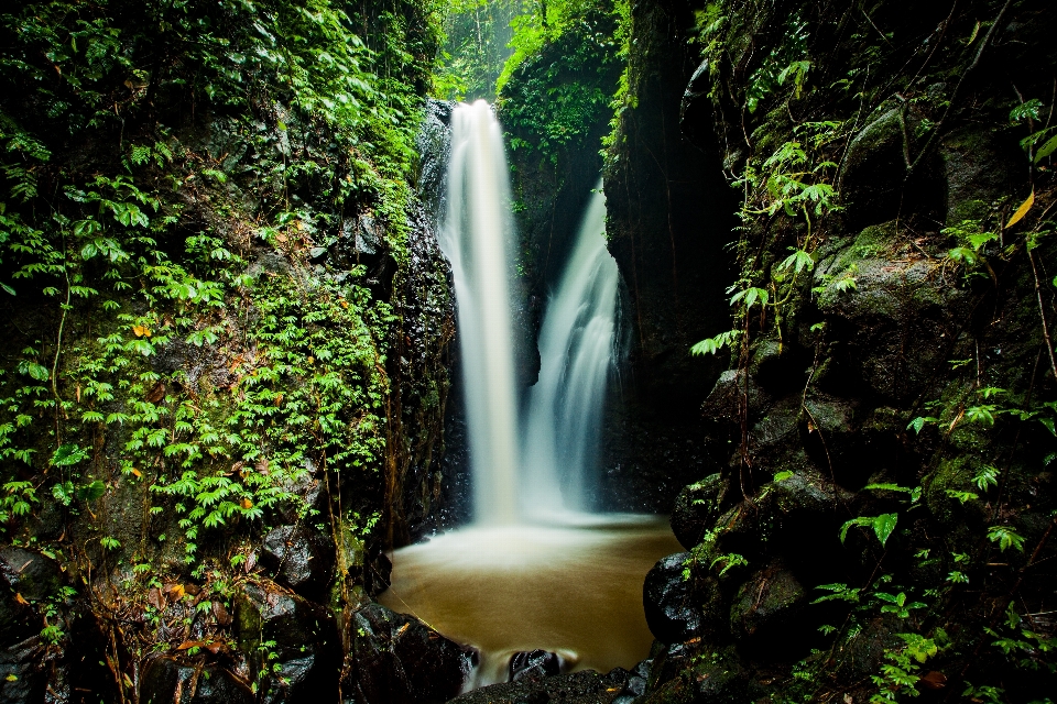 Air alam hutan terjun