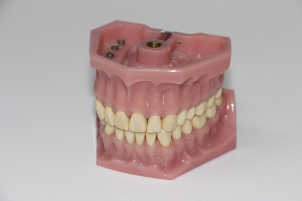 Pink mouth dentist human body Photo