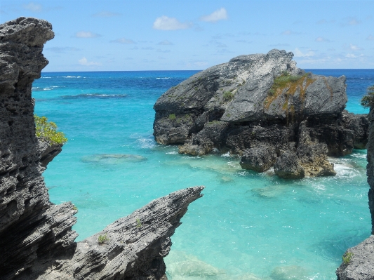 Beach sea coast water Photo