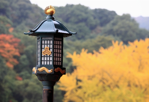 High tower autumn street light Photo