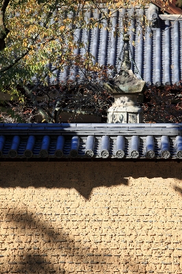 Tree architecture wood wall Photo