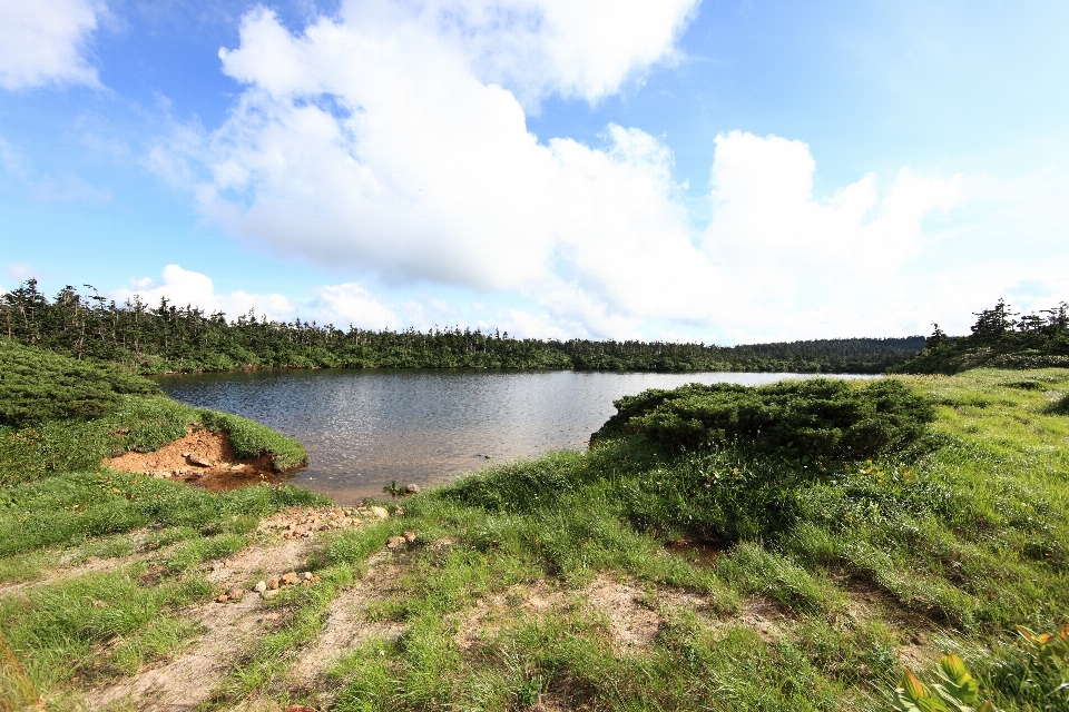 Coast marsh wetlands mountain