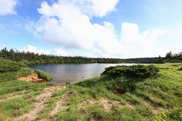 Coast marsh wetlands mountain Photo