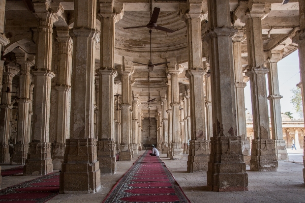 Structure building palace column Photo