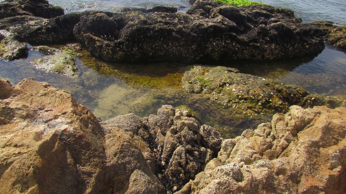 Beach landscape sea coast Photo