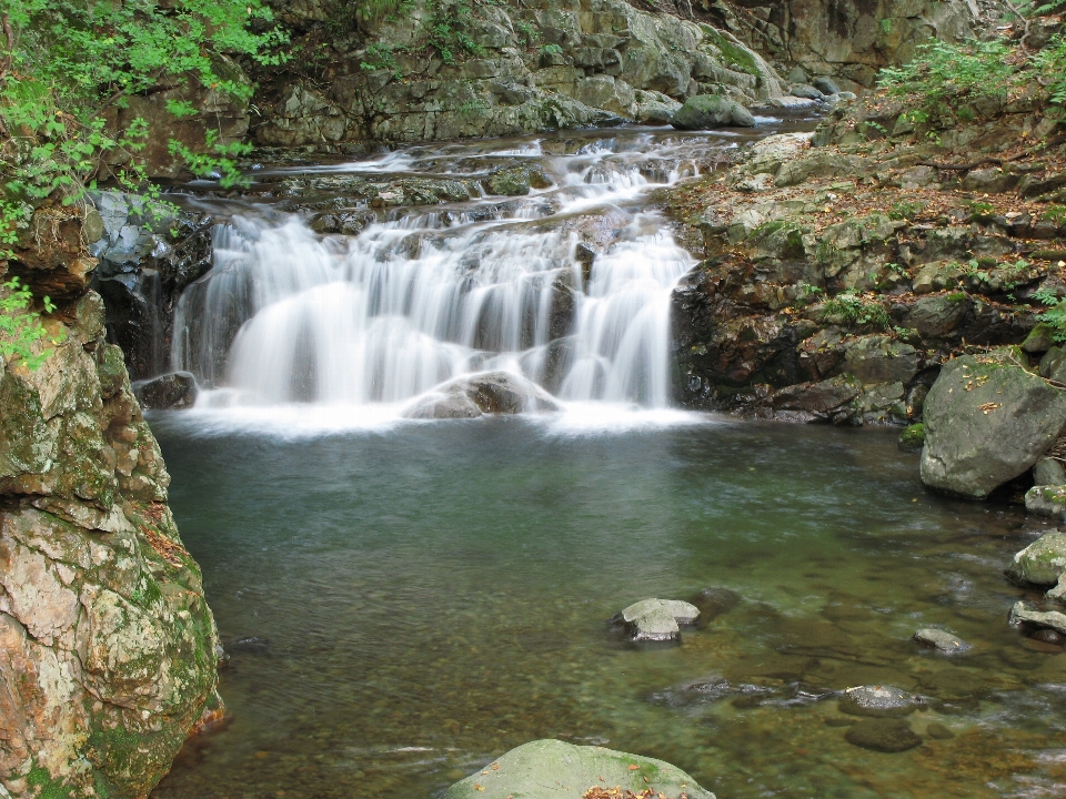 Agua cascada arroyo
 caer