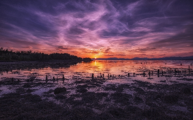 Sea coast ocean horizon Photo