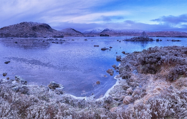 Landscape sea coast water Photo