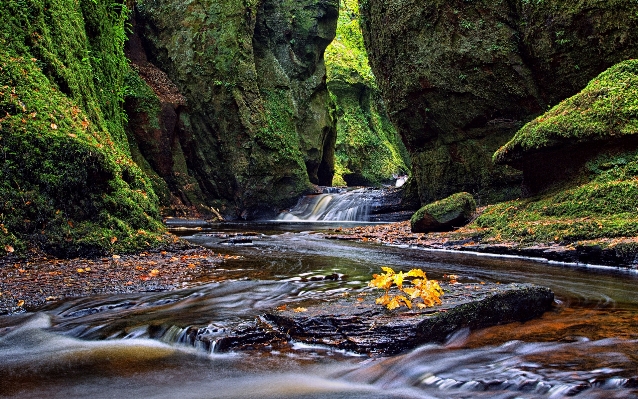 Landscape tree water nature Photo