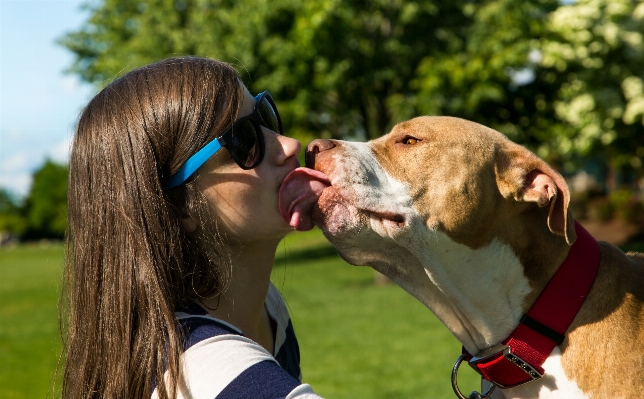 Foto Gadis wanita anak anjing