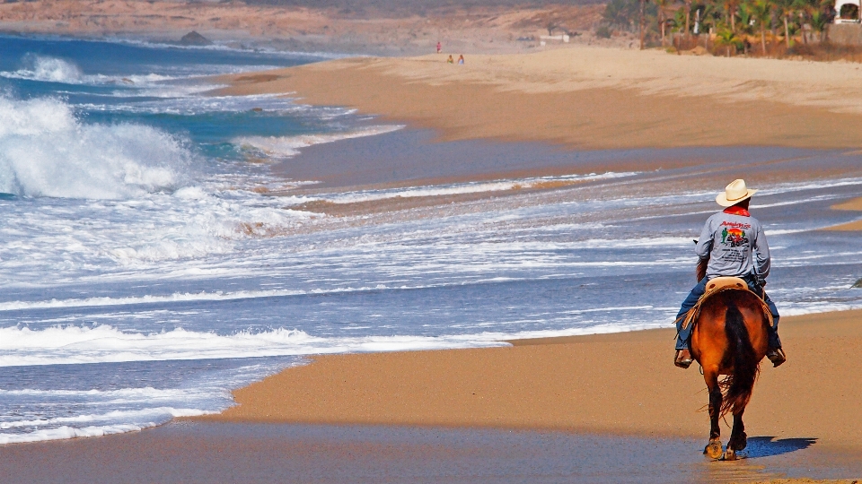 海滩 景观 海 海岸