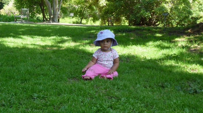 Grass girl lawn meadow Photo