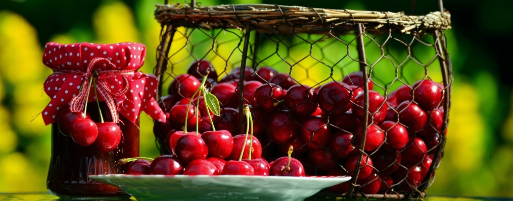 Plant fruit flower summer Photo