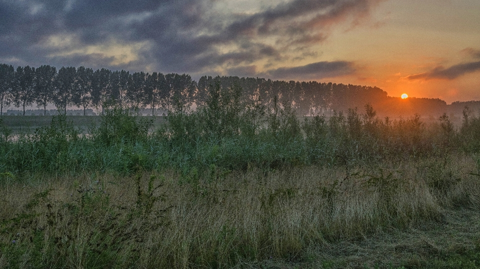 Nature grass outdoor horizon