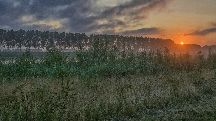 Nature grass outdoor horizon Photo