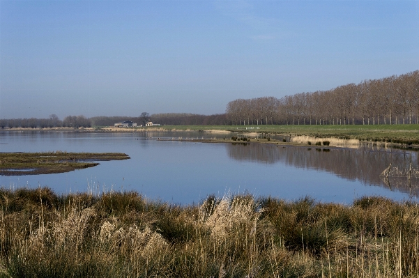 Nature outdoor marsh wilderness Photo