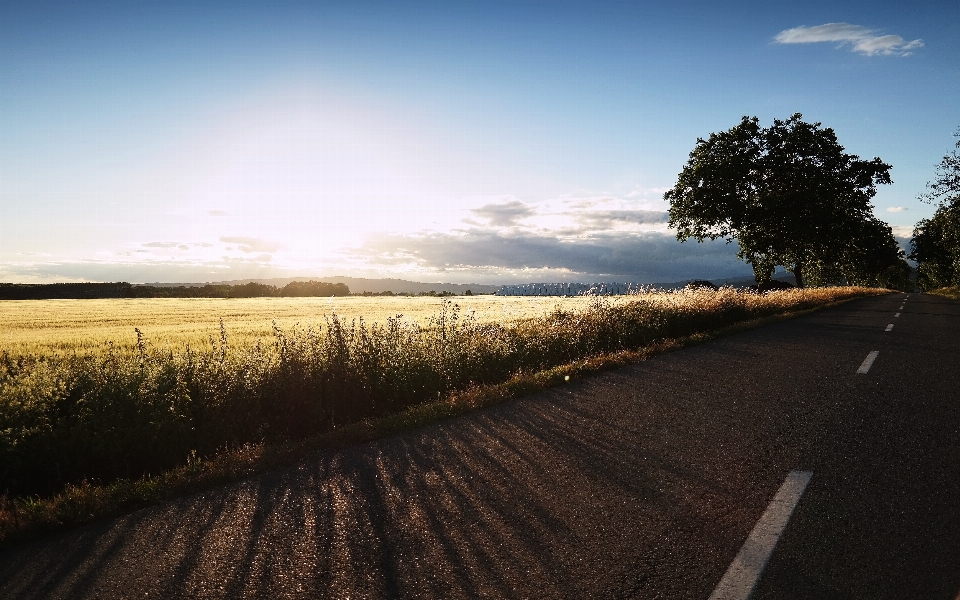 Paisagem árvore natureza caminho