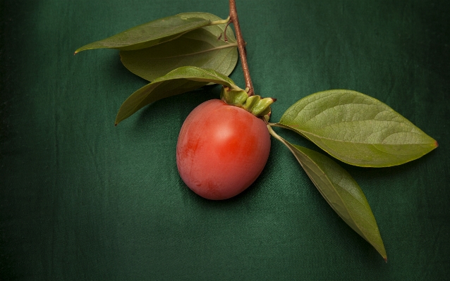 Foto Tanaman buah daun bunga