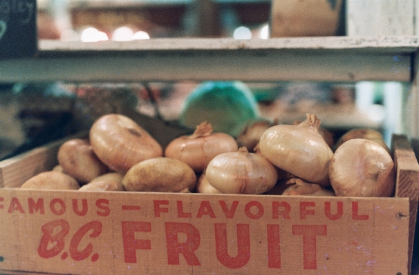 Plant film food produce Photo