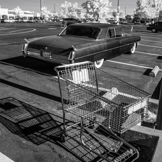 En blanco y negro
 bote auto vehículo