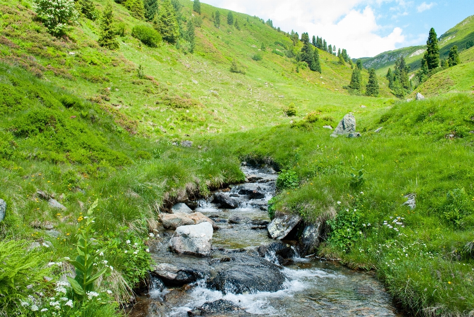 Paysage eau nature région sauvage
