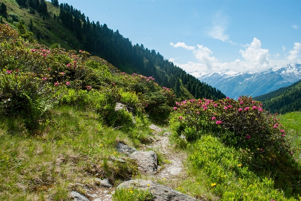 Landscape nature wilderness walking Photo