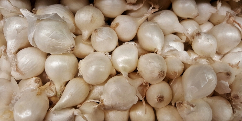 植物 白 食べ物 収穫 写真