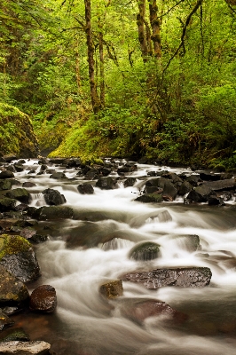 Landscape tree water nature Photo