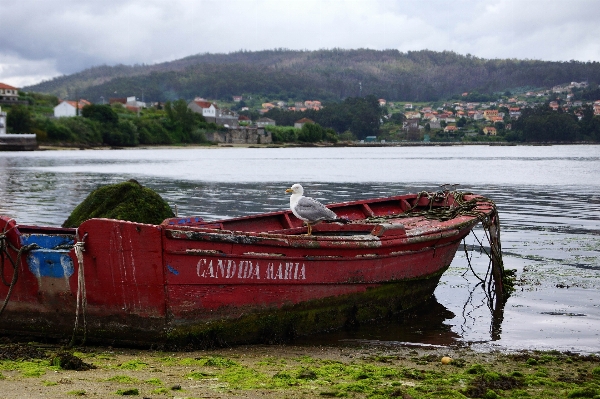 Foto Lanskap laut kapal sungai