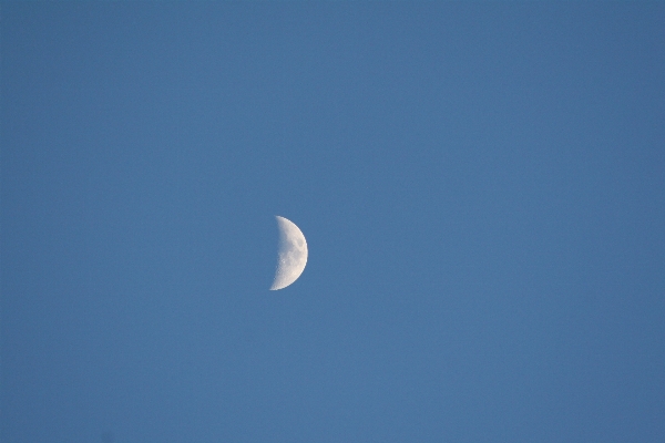 羽 クラウド 空 月 写真