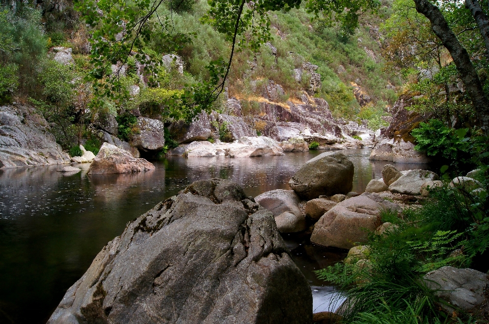 Rock waterfall wilderness river