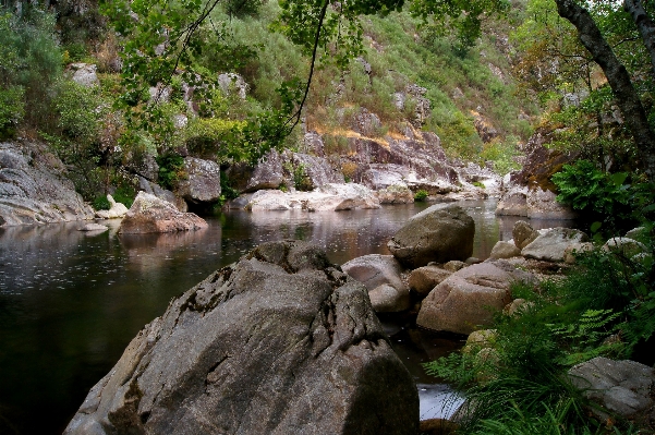 Rock waterfall wilderness river Photo