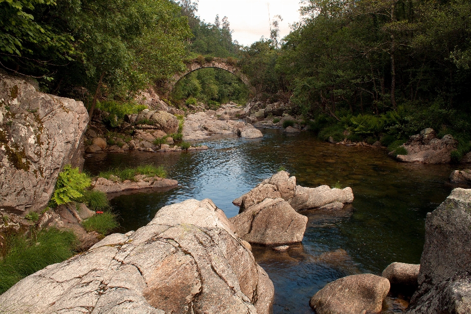 Rock air terjun gurun
 sungai